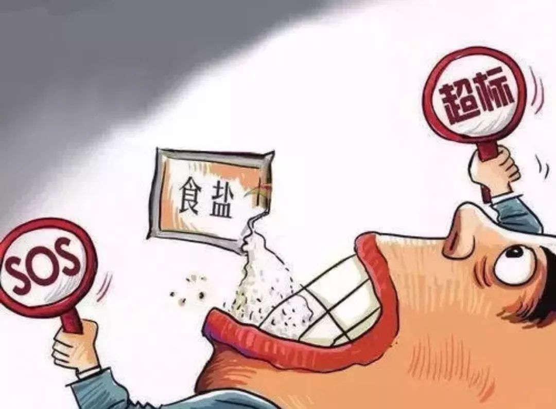 高血压膳食营养管理 餐饮防治精华指南